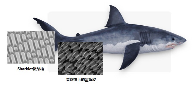 飞书20220107-170558.png