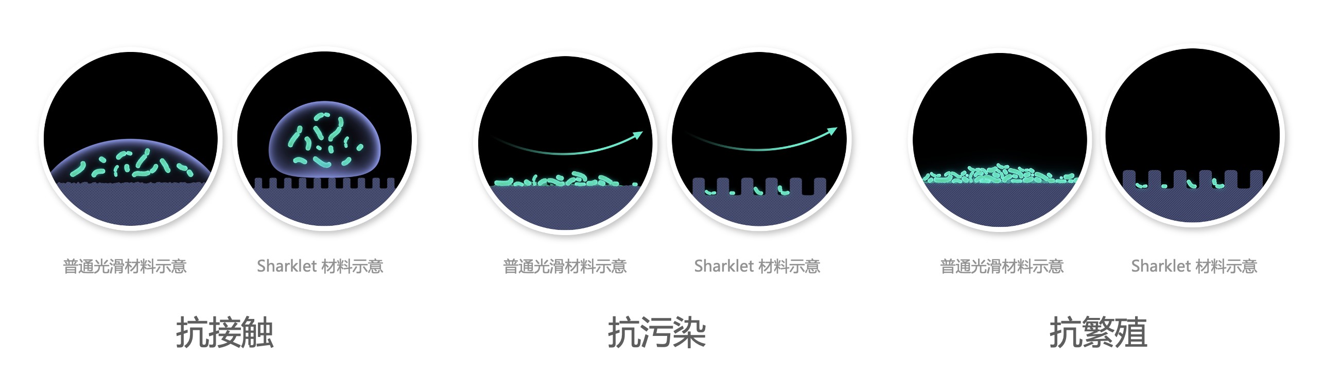 飞书20220110-111700.png