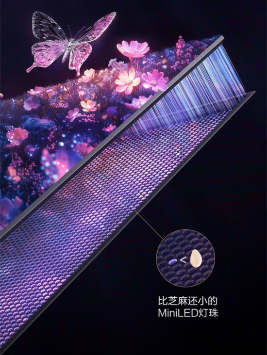 图片8.jpg