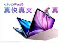 úҲѧúãѧ汸콢ƽvivo Pad5ʽ
