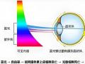 ���籭�������۽������ݺ��ӣ����۵�����ѡRGB-Mini LED����